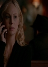 VampireDiariesWorld-dot-nl_7x14MoonlightOnTheBayou1440.jpg