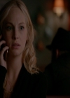 VampireDiariesWorld-dot-nl_7x14MoonlightOnTheBayou1441.jpg