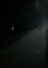 VampireDiariesWorld-dot-nl_7x14MoonlightOnTheBayou1691.jpg