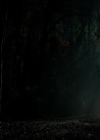 VampireDiariesWorld-dot-nl_7x14MoonlightOnTheBayou1703.jpg