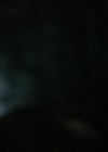 VampireDiariesWorld-dot-nl_7x14MoonlightOnTheBayou1733.jpg