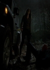 VampireDiariesWorld-dot-nl_7x14MoonlightOnTheBayou1742.jpg