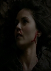 VampireDiariesWorld-dot-nl_7x14MoonlightOnTheBayou1769.jpg