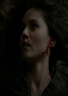 VampireDiariesWorld-dot-nl_7x14MoonlightOnTheBayou1770.jpg