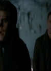 VampireDiariesWorld-dot-nl_7x14MoonlightOnTheBayou1771.jpg