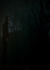 VampireDiariesWorld-dot-nl_7x14MoonlightOnTheBayou1787.jpg