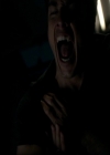 VampireDiariesWorld-dot-nl_7x14MoonlightOnTheBayou1858.jpg