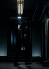 VampireDiariesWorld-dot-nl_7x14MoonlightOnTheBayou1874.jpg