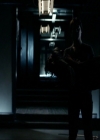 VampireDiariesWorld-dot-nl_7x14MoonlightOnTheBayou1898.jpg