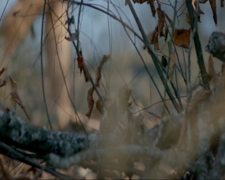 VampireDiariesWorld-dot-nl_7x15IWouldForYou0026.jpg