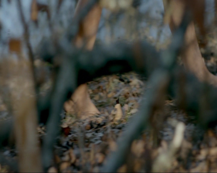 VampireDiariesWorld-dot-nl_7x15IWouldForYou0027.jpg