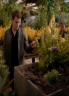 VampireDiariesWorld-dot-nl_7x15IWouldForYou0562.jpg