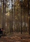 VampireDiariesWorld-dot-nl_7x15IWouldForYou1278.jpg