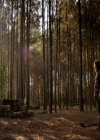 VampireDiariesWorld-dot-nl_7x15IWouldForYou1337.jpg