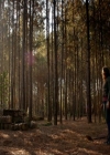 VampireDiariesWorld-dot-nl_7x15IWouldForYou1338.jpg