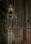 VampireDiariesWorld-dot-nl_7x16DaysOfFuturePast1967.jpg