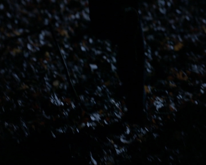 VampireDiariesWorld-dot-nl_7x17IWentToTheWoods0525.jpg
