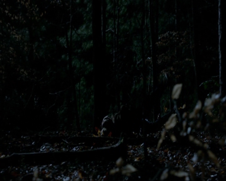 VampireDiariesWorld-dot-nl_7x17IWentToTheWoods0533.jpg