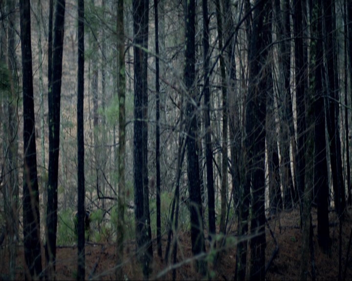 VampireDiariesWorld-dot-nl_7x17IWentToTheWoods0714.jpg