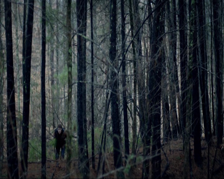 VampireDiariesWorld-dot-nl_7x17IWentToTheWoods0716.jpg