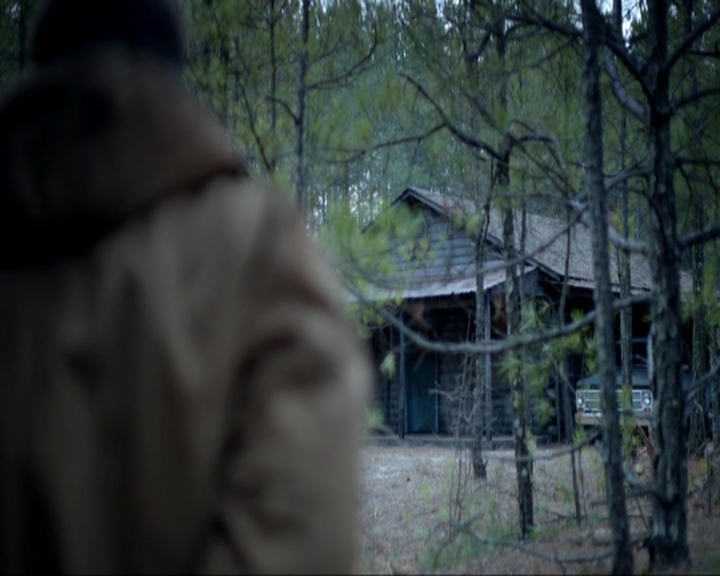 VampireDiariesWorld-dot-nl_7x17IWentToTheWoods0734.jpg