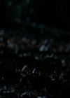 VampireDiariesWorld-dot-nl_7x17IWentToTheWoods0538.jpg