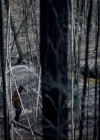 VampireDiariesWorld-dot-nl_7x17IWentToTheWoods0710.jpg