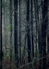 VampireDiariesWorld-dot-nl_7x17IWentToTheWoods0714.jpg