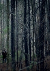 VampireDiariesWorld-dot-nl_7x17IWentToTheWoods0716.jpg