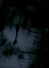 VampireDiariesWorld-dot-nl_7x17IWentToTheWoods2039.jpg