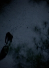 VampireDiariesWorld-dot-nl_7x17IWentToTheWoods2097.jpg