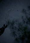 VampireDiariesWorld-dot-nl_7x17IWentToTheWoods2103.jpg