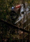 VampireDiariesWorld-dot-nl_7x22GodsAndMonsters0448.jpg