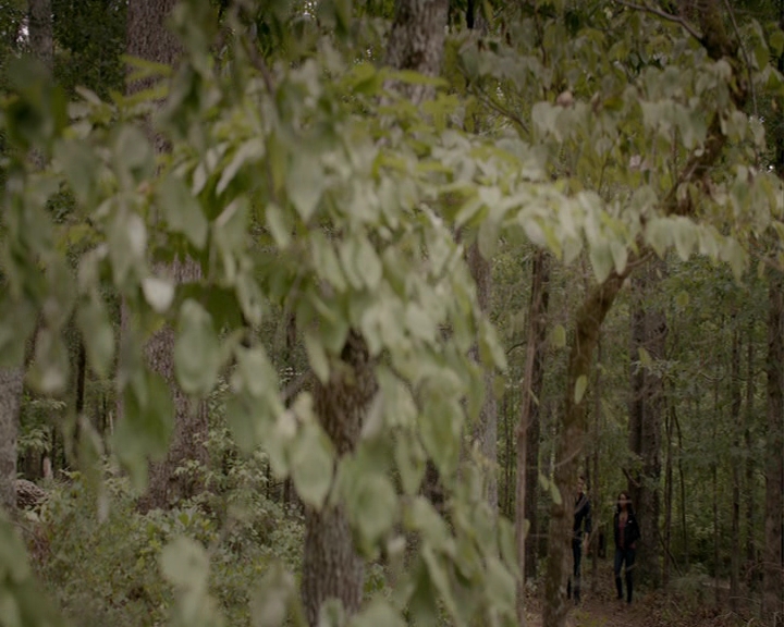 VampireDiaries-dot-nl_VampireDiaries-8x01HelloBrother0741.jpg