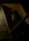 VampireDiaries-dot-nl_VampireDiaries-8x01HelloBrother0106.jpg