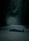 VampireDiaries-dot-nl_VampireDiaries-8x01HelloBrother2112.jpg