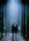 VampireDiaries-dot-nl_VampireDiaries-8x03YouDecidedThatIWasWorthSaving0530.jpg