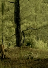 VampireDiaries-dot-nl_VampireDiaries-8x04AnEternityOfMisery0903.jpg