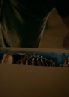 VampireDiaries-dot-nl_VVampireDiaries-dot-nl_VampireDiaries-8x08WeHaveHistoryTogether0341.jpg