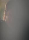 VampireDiaries-dot-nl_VVampireDiaries-dot-nl_VampireDiaries-8x08WeHaveHistoryTogether0528.jpg