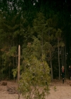 VampireDiaries-dot-nl_VVampireDiaries-dot-nl_VampireDiaries-8x08WeHaveHistoryTogether0932.jpg