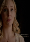 VampireDiaries-dot-nl_VampireDiaries-8x09TheSimpleIntimacyoftheNearTouch0191.jpg