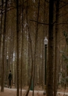 VampireDiaries-dot-nl_VampireDiaries-8x09TheSimpleIntimacyoftheNearTouch1666.jpg