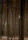 VampireDiaries-dot-nl_VampireDiaries-8x09TheSimpleIntimacyoftheNearTouch1667.jpg