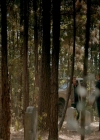 VampireDiaries-dot-nl_VampireDiaries-8x10NostalgiasABitch0659.jpg