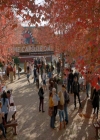 VampireDiaries-dot-nl_VampireDiaries-8x11YouMadeAChoiceToBeGood0251.jpg