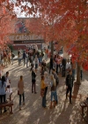 VampireDiaries-dot-nl_VampireDiaries-8x11YouMadeAChoiceToBeGood0253.jpg