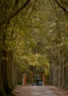 VampireDiaries-dot-nl_VampireDiaries-8x11YouMadeAChoiceToBeGood2207.jpg