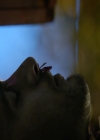 VampireDiaries-dot-nl_VampireDiaries-8x12WhatAreYou0737.jpg