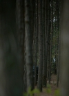 VampireDiaries-dot-nl_VampireDiaries-8x12WhatAreYou1044.jpg